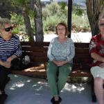 DSC03812_01 (June 14, 2020)